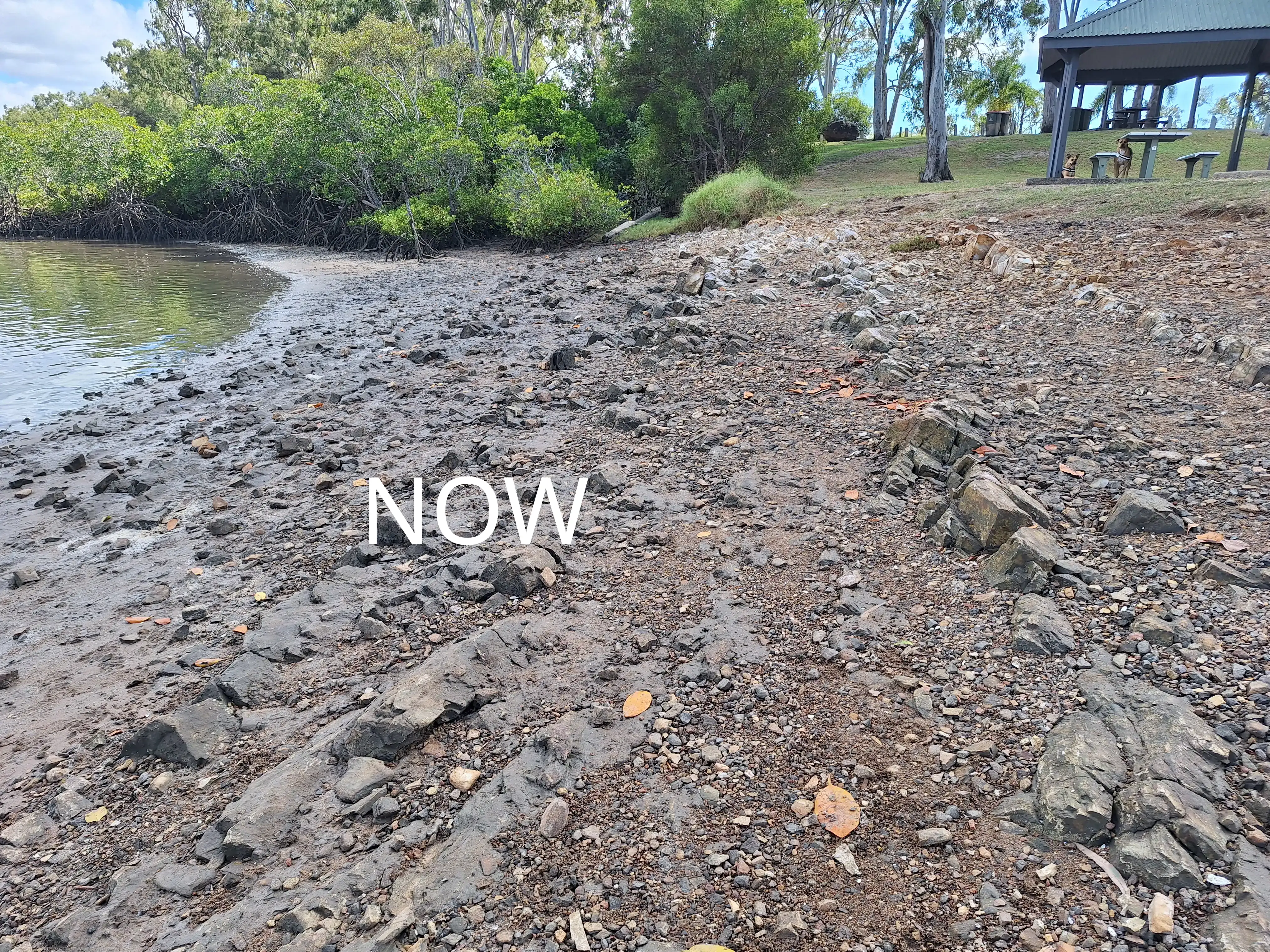 Flat Rock - Now